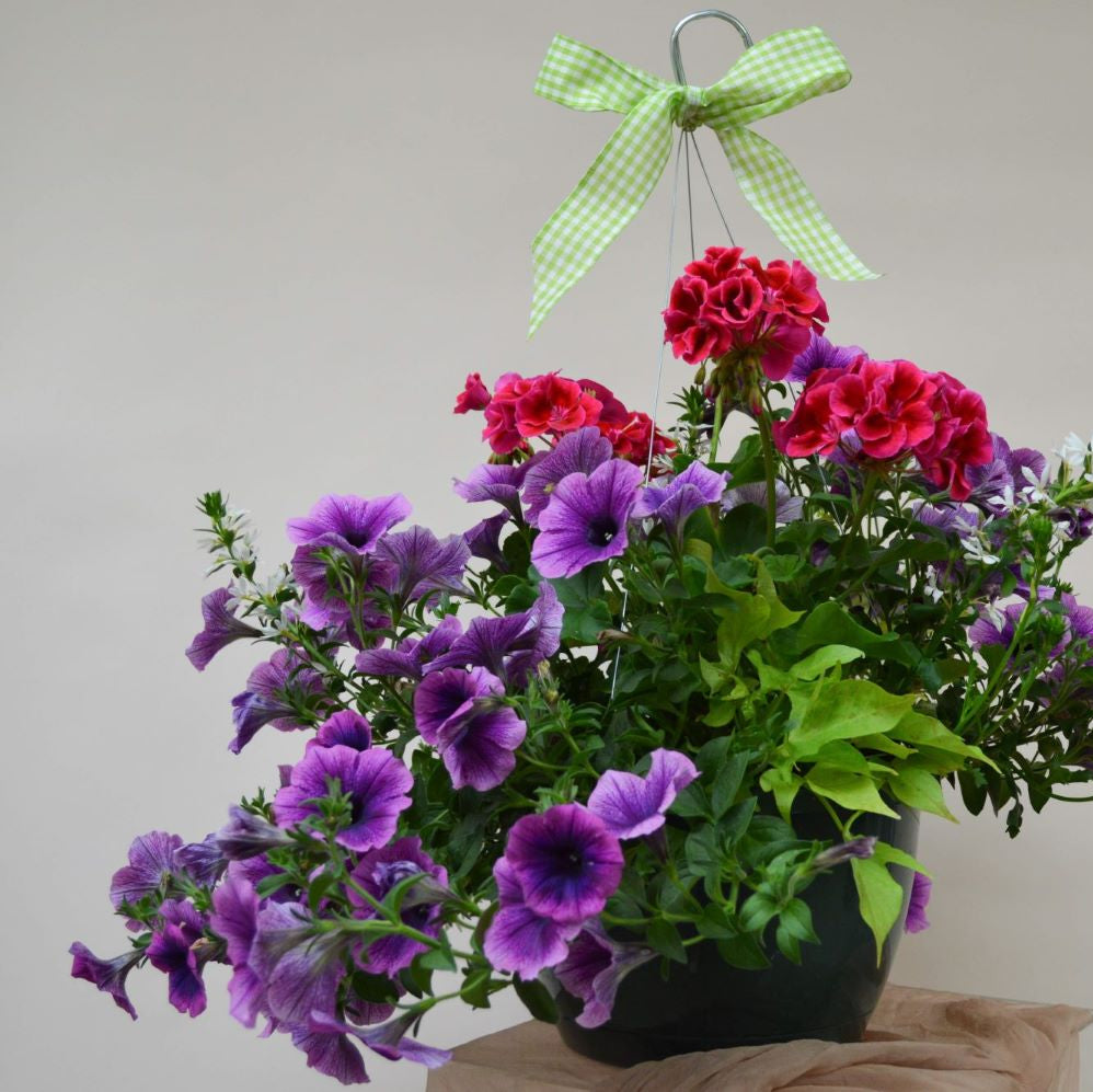 BLOOMING HANGING BASKET x MOTHER'S DAY FLOWERS (Sold Out) image 1