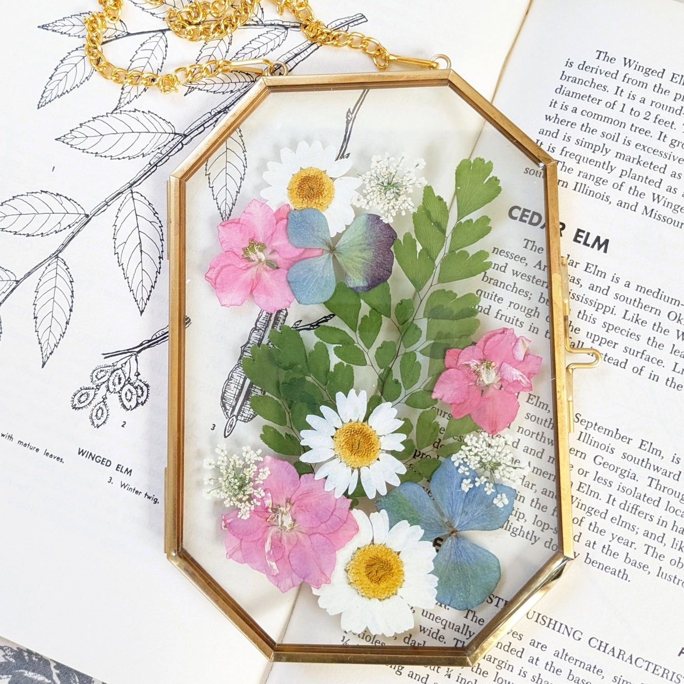 Framed Pressed Flowers