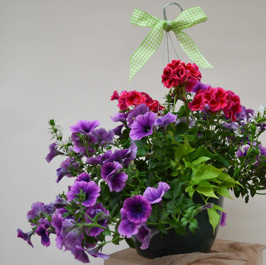 BLOOMING HANGING BASKET x MOTHER'S DAY FLOWERS (Sold Out) image 1