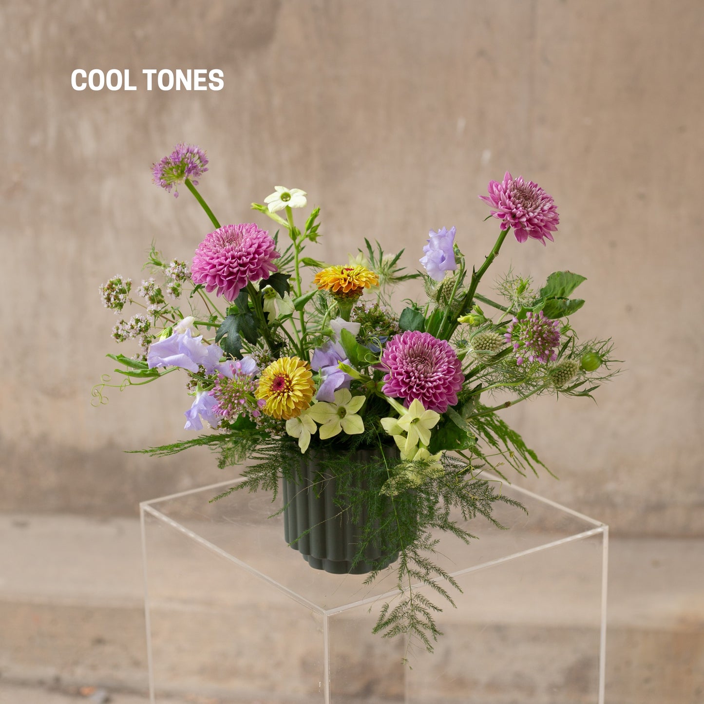 Move-In Bundle: Flowers + Gifts