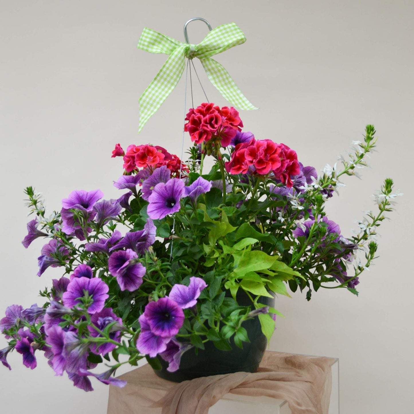 BLOOMING HANGING BASKET x MOTHER'S DAY FLOWERS (Sold Out) image 0