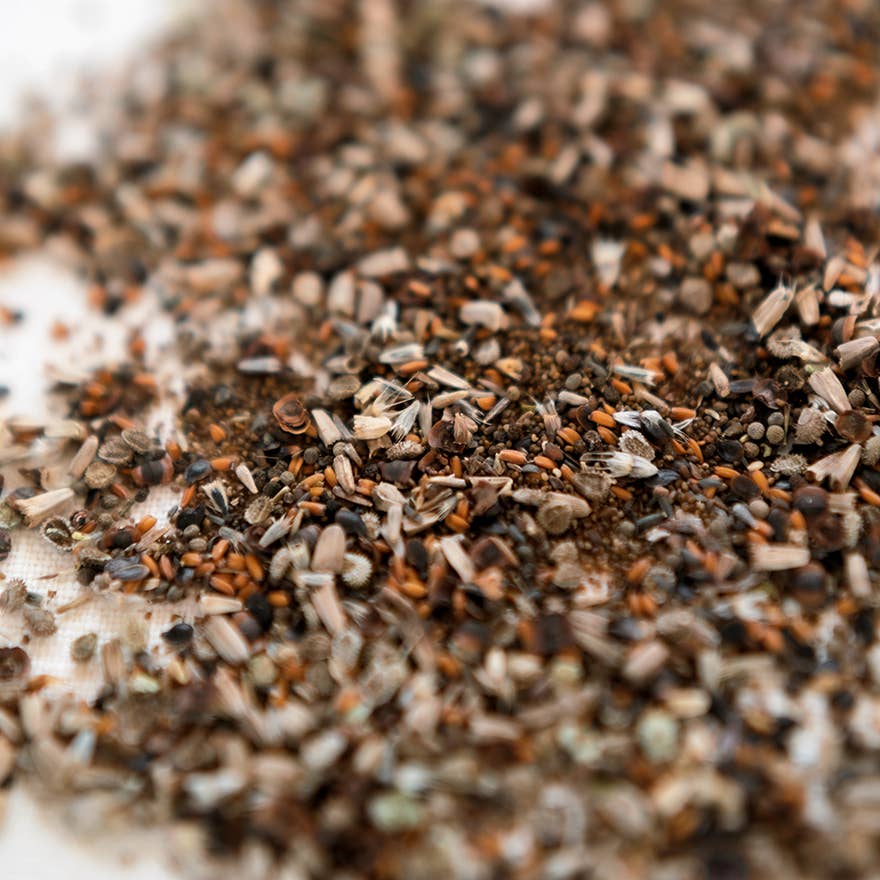 Seed Blend 2-pack by Anellabees