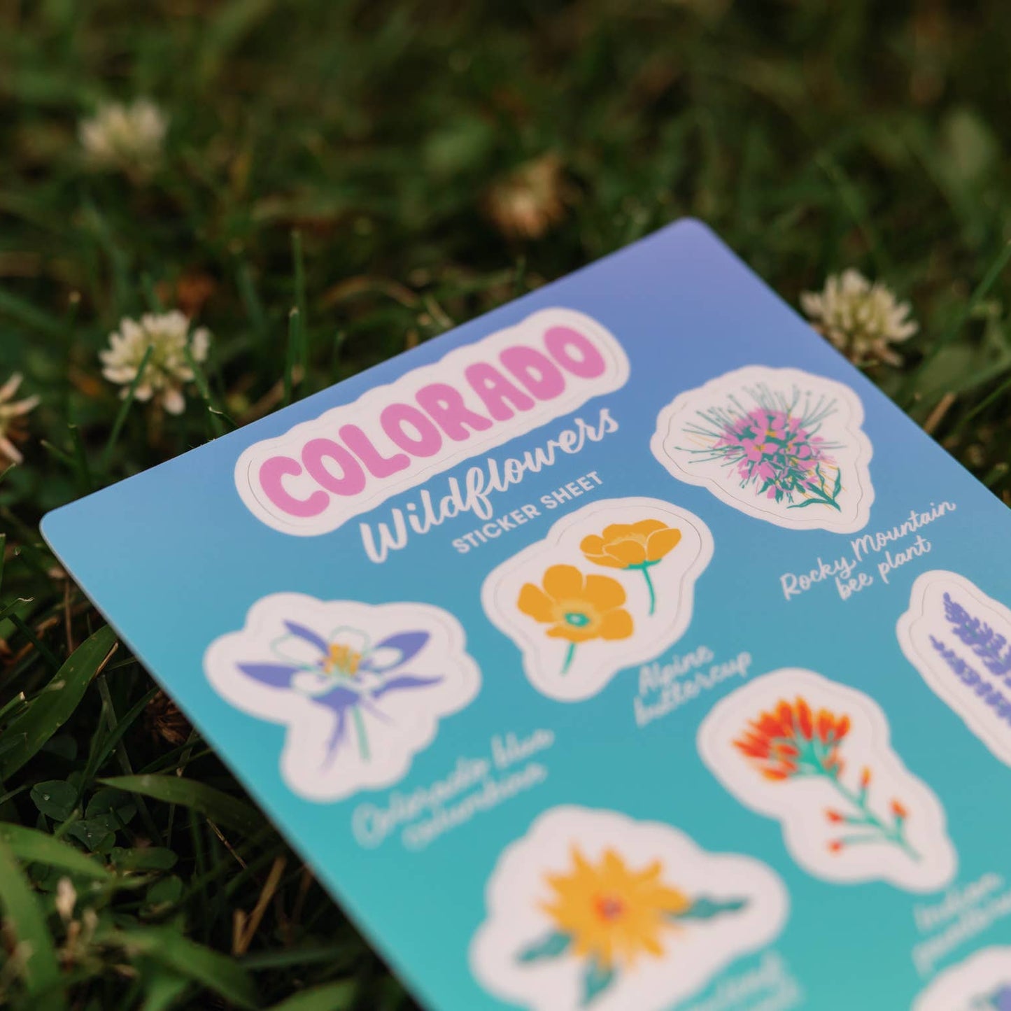 Colorado Wildflowers Sticker Sheet