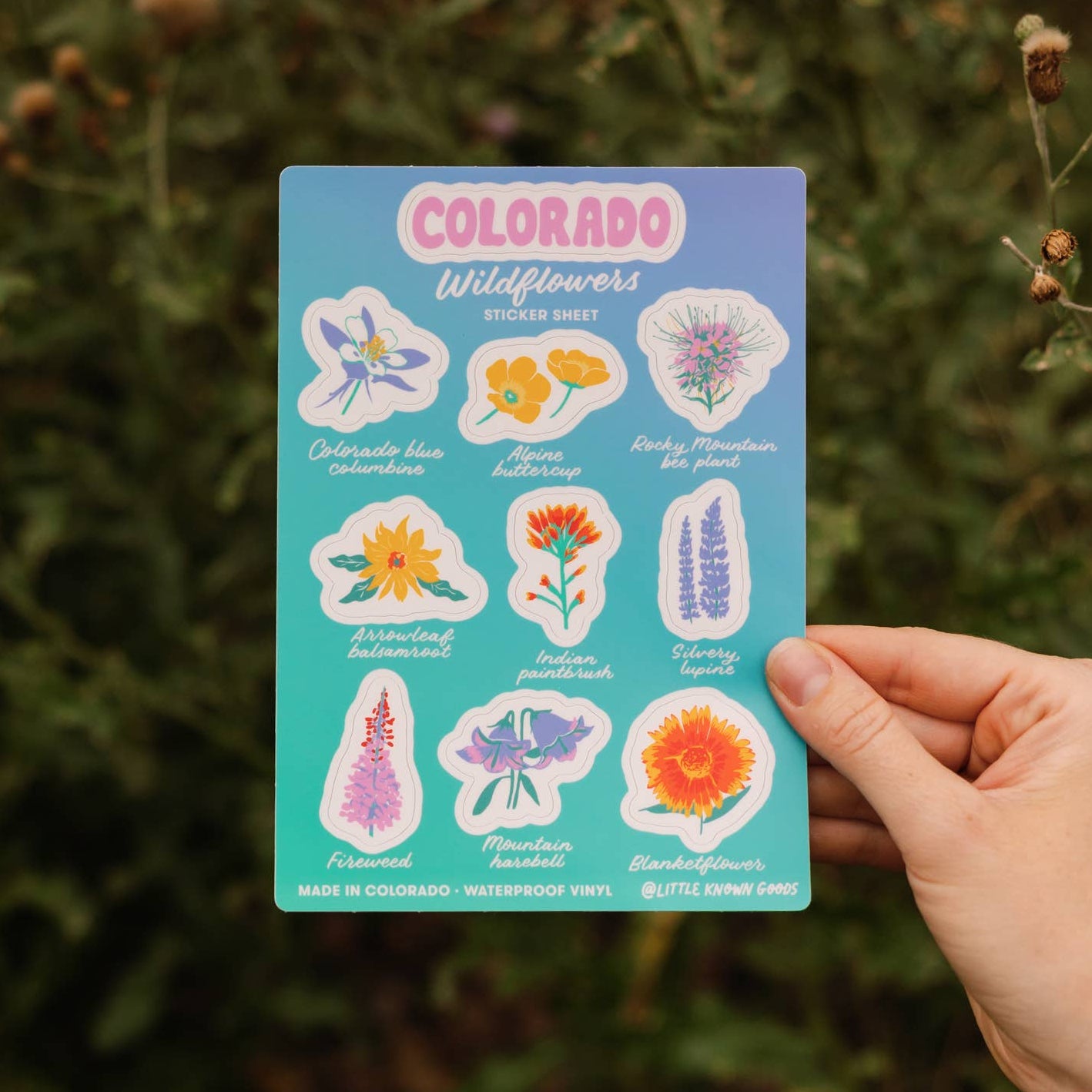 Hand holding a card with colorful Colorado wildflower stickers against a natural background