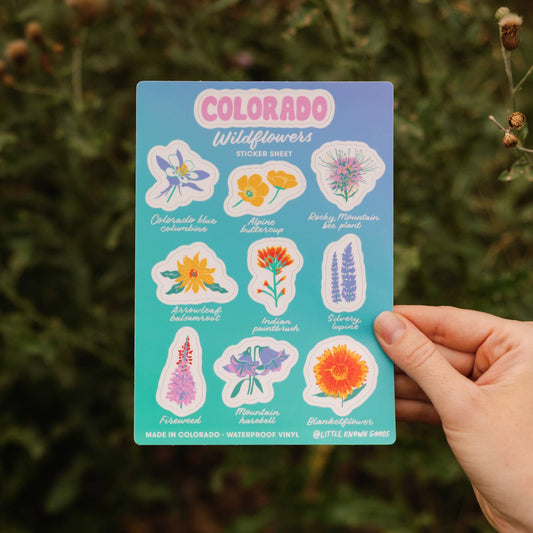 Hand holding a card with colorful Colorado wildflower stickers against a natural background