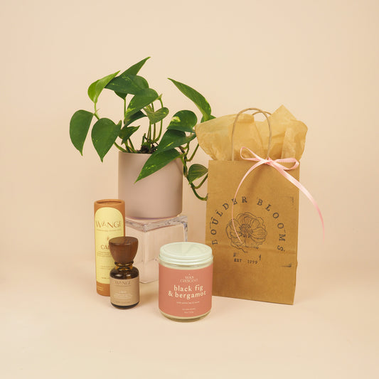 PLANT BUILD-A-BUNDLE image 1